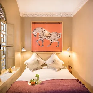 Hissan Riad